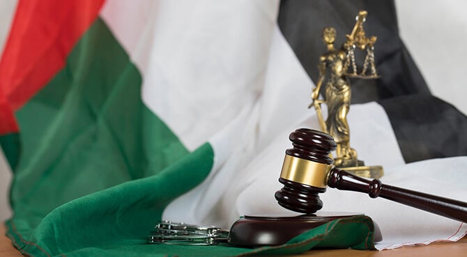 اللجان الرقابية في تنظيم الأنشطة التجارية في الإمارات