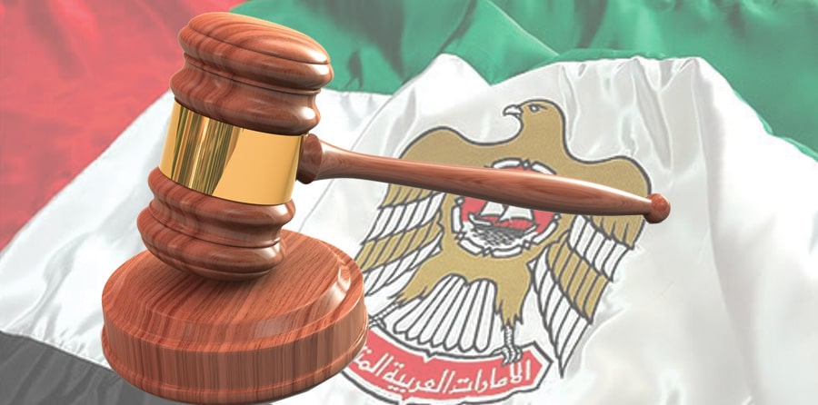 مسؤولية المساهمين في الشركات وحقوقهم وكيفية حمايتها